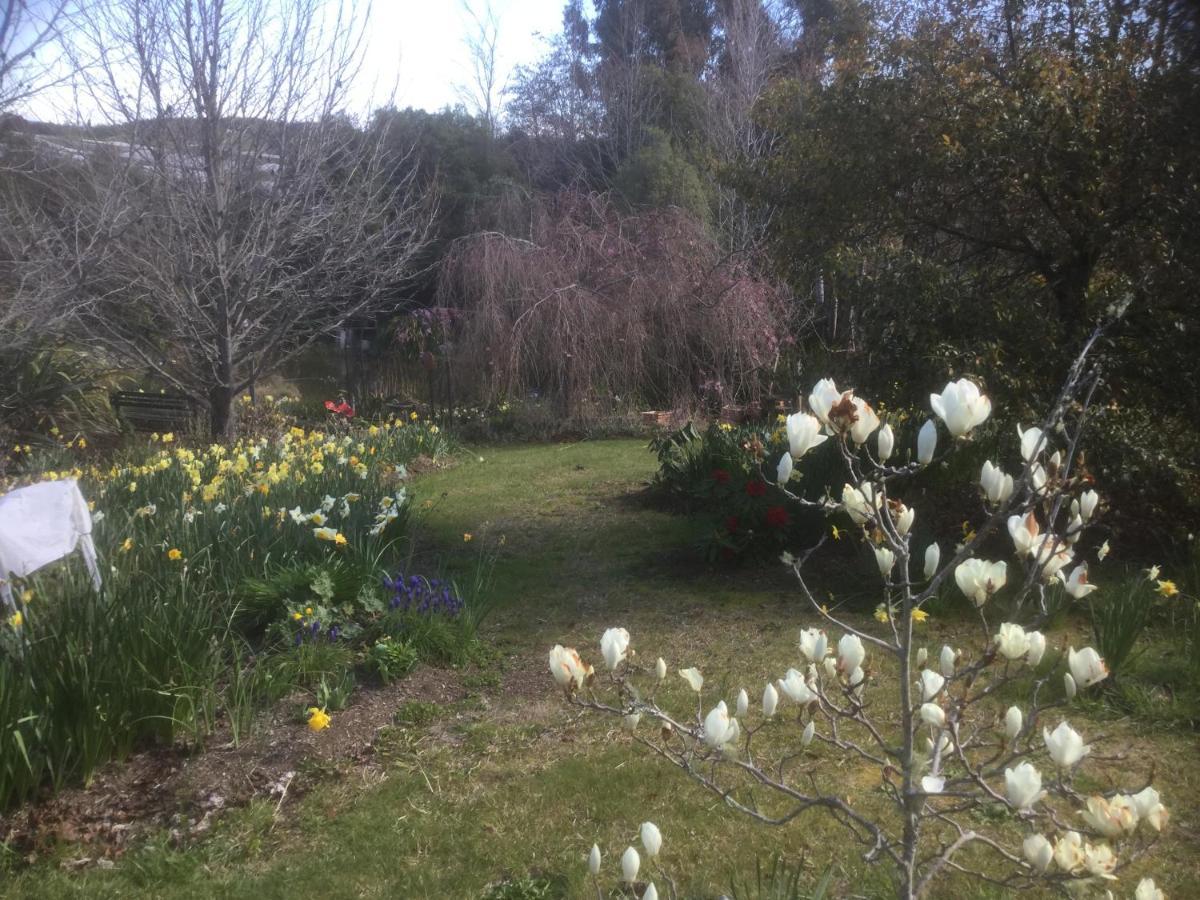 Mapua Garden B & B Extérieur photo